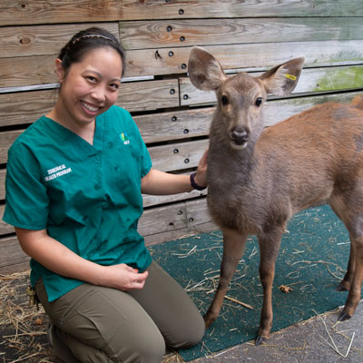 Sambar and Keeper
