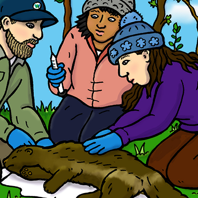 Color Illustration of Kris Inman