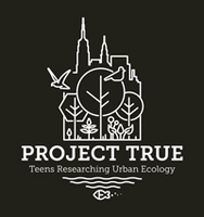 BZ Project True Logo